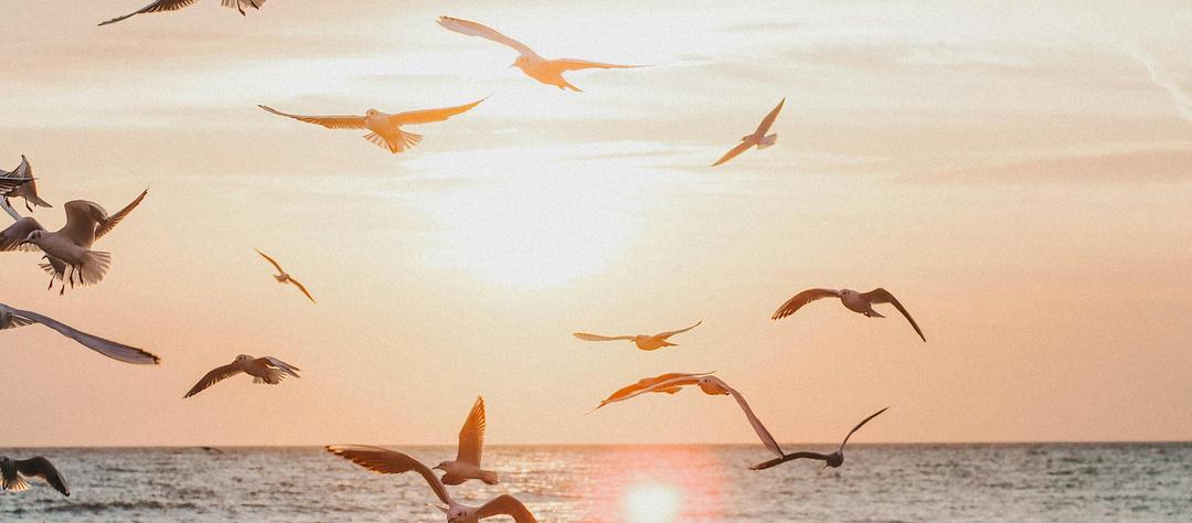 Au cœur de la Lumière 